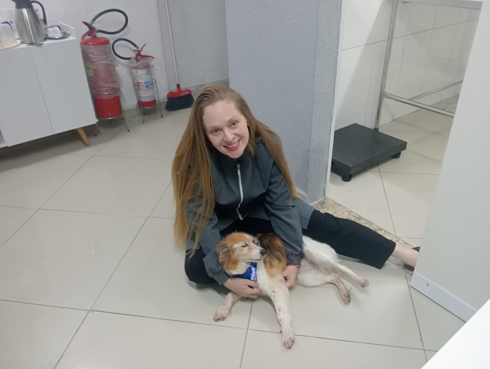 Veterinária cuidando de um cão em recuperação