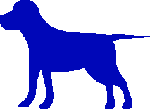Ícone de caninos